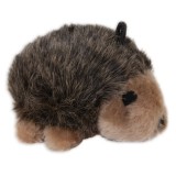 Aspen Pet® Hedgehog